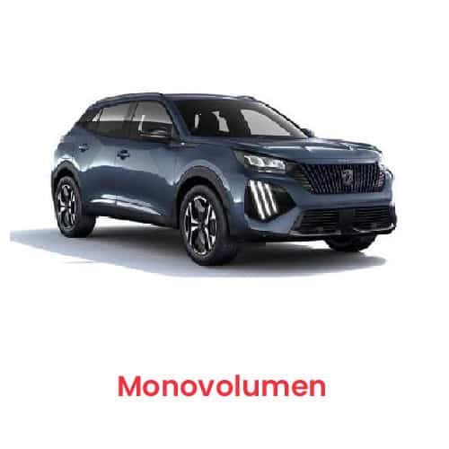 monovolumen texto-01