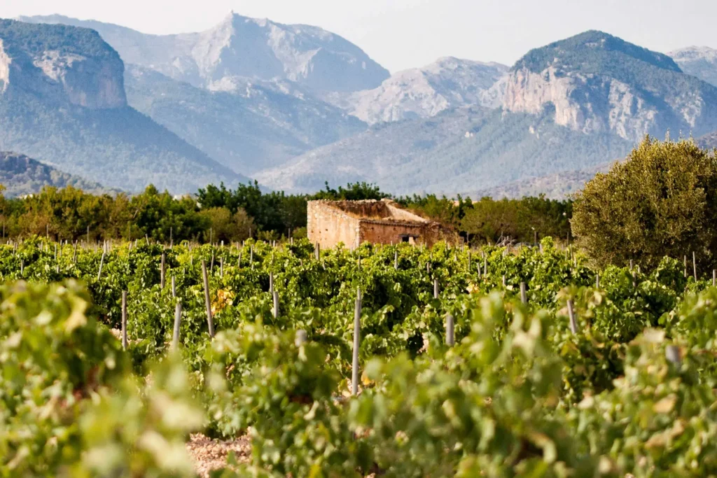 que hacer en Mallorca en invierno